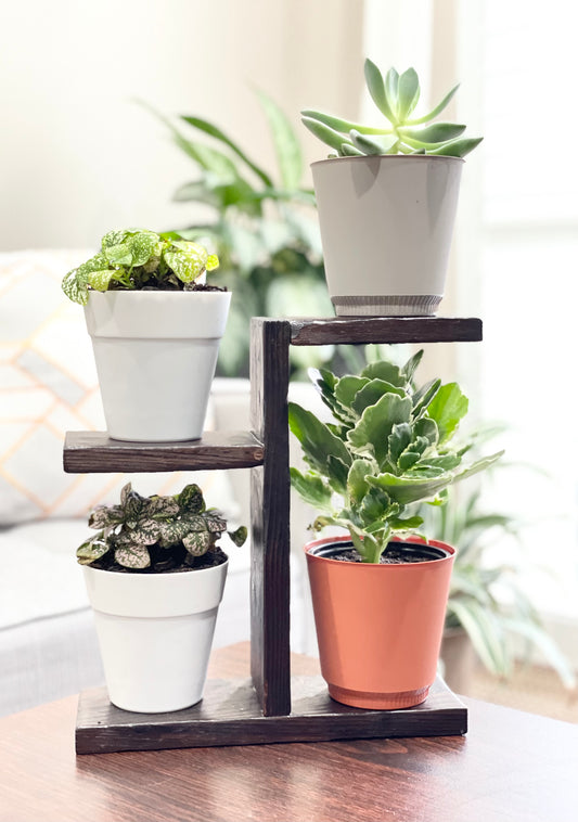 Wood Plant Stand